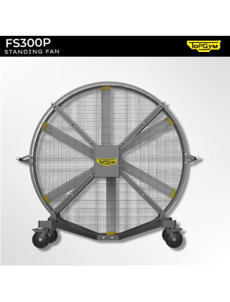 VENTILATEUR TOPGYM FS300P