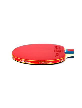 RAQUETTE DE PING PONG IMPERIAL RST12305P40+