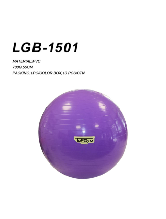 BALLE GYM TOPGYM LGB-1501