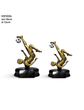 TROPHEE DE FOOT BALL HX1224