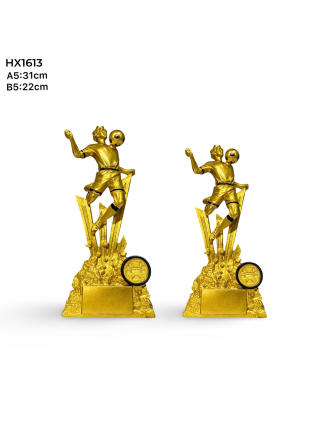 TROPHEE DE FOOT BALL HX1613