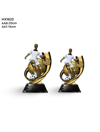 TROPHEE DE FOOT BALL HX1623