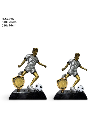 TROPHEE DE FOOT BALL HX4275
