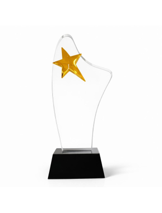 TROPHEE EN VERRE TR135