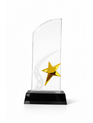 TROPHEE EN VERRE TR137