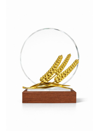 TROPHEE EN VERRE TR186