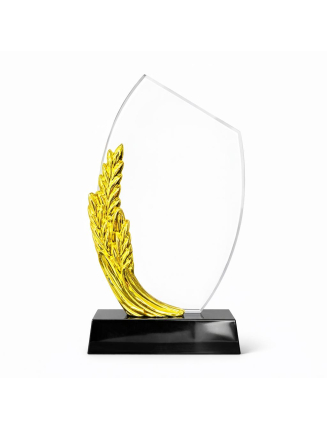 TROPHEE EN VERRE TR704