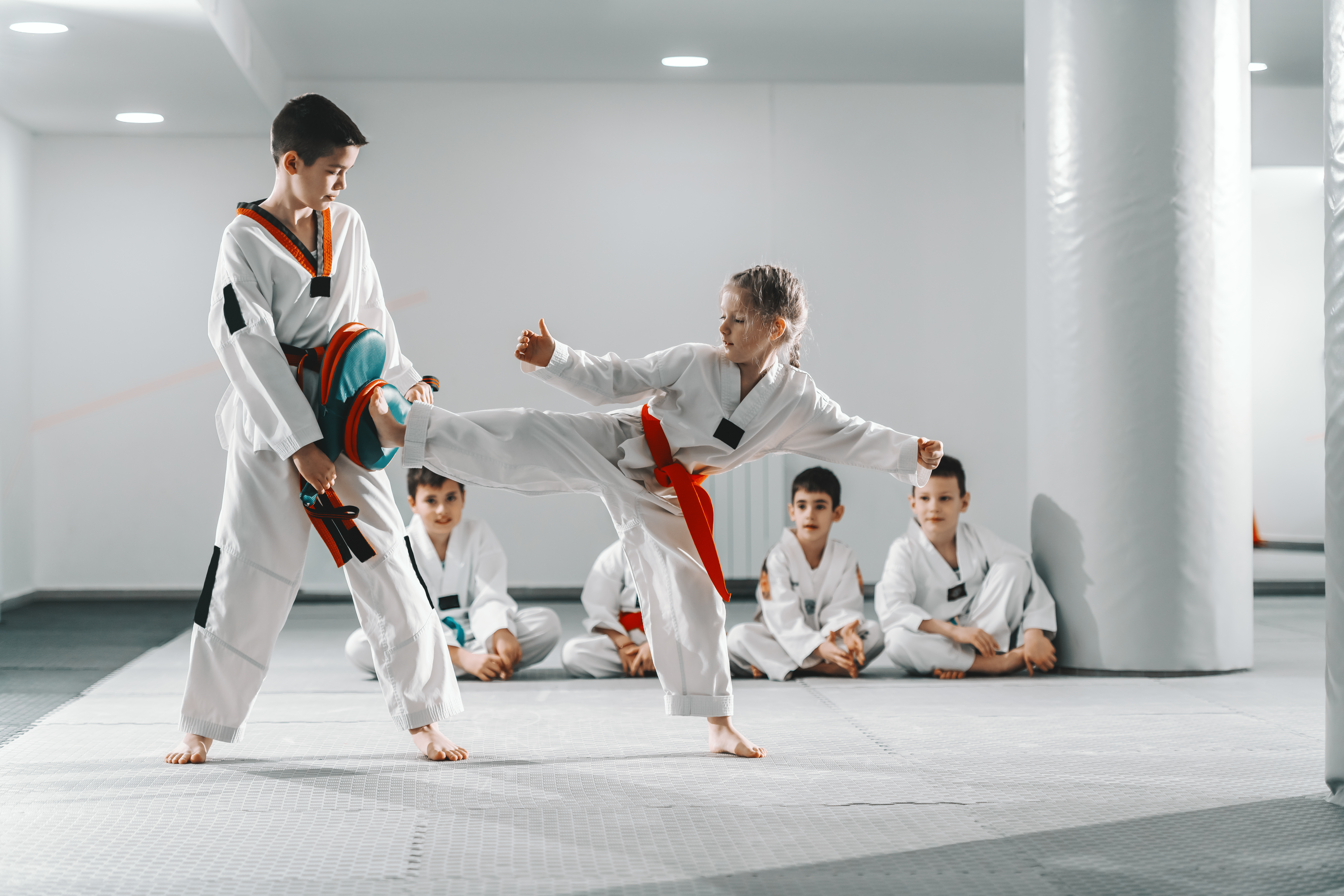 Sports De Combats